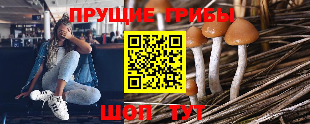 Псилоцибиновые грибы мухоморы  Галлюциногенные грибы мицелий  Вход с VPN  Полевской 
