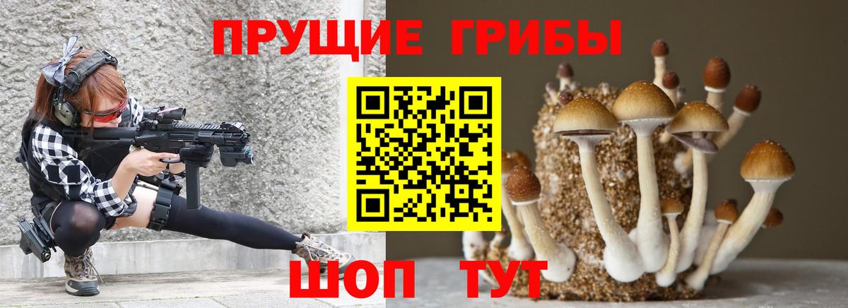 Псилоцибиновые грибы Cubensis Полевской